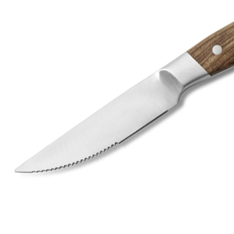 Comas Aconcagua Coltello Bistecca In Acciaio Inox Set 6 Pz