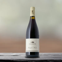 Pinot Noir Vallagarina Igt 2021 Azienda Agricola Vallarom