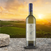 Fieno Di Ponza Lazio Igt 2022 Antiche Cantine Migliaccio