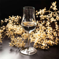 20 Cl Riedel Aquavit Copa Grappa En Vidrio Set de 4 Piezas