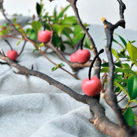 35 Forme Pavoni Gourmand Molde de Decoraciones Cerezas en Silicona