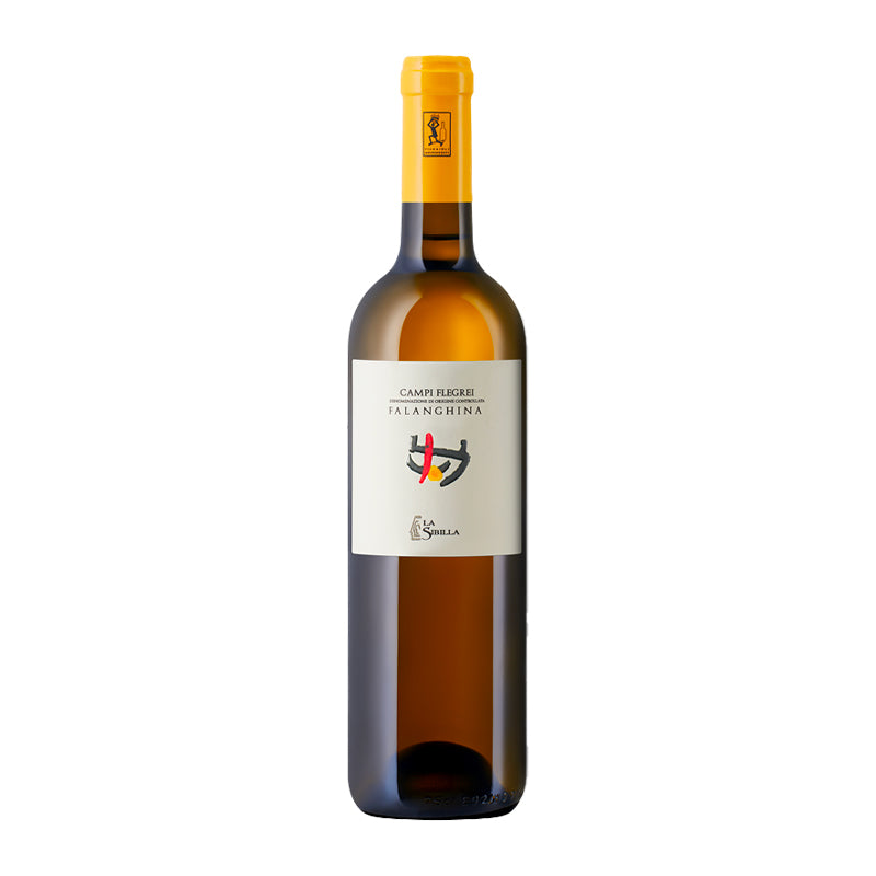 Falanghina Campi Flegrei DOC 2023 La Sibilla