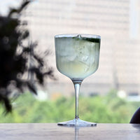 60 cl - Bormioli Luigi Gin & Tonic Sloe Gin Tonic Glass in Glass - Set of 2 Pcs