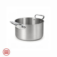 Satin round stainless steel pot with two glossy metal riveted handles, white background.