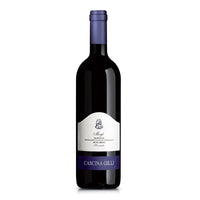 Red wine bottle with white and blue label, slender body, violet screw cap; label with Cascina Gilli name.