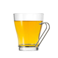24 cl - Borgonovo Debora Tea Cup In Glass With Steel Handle - Set 6 Pcs