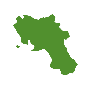 Profilo verde stilizzato della Campania senza dettagli interni su sfondo nero.