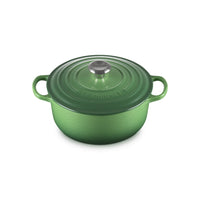 Dutch oven green with lid, side handles and central knob in steel. surface enamelled glossy and reflections.