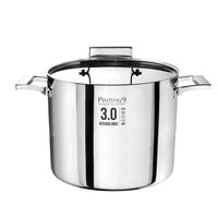 Pintinox 3.0 Stockpot With Lid Induction in Tri-Ply Metal