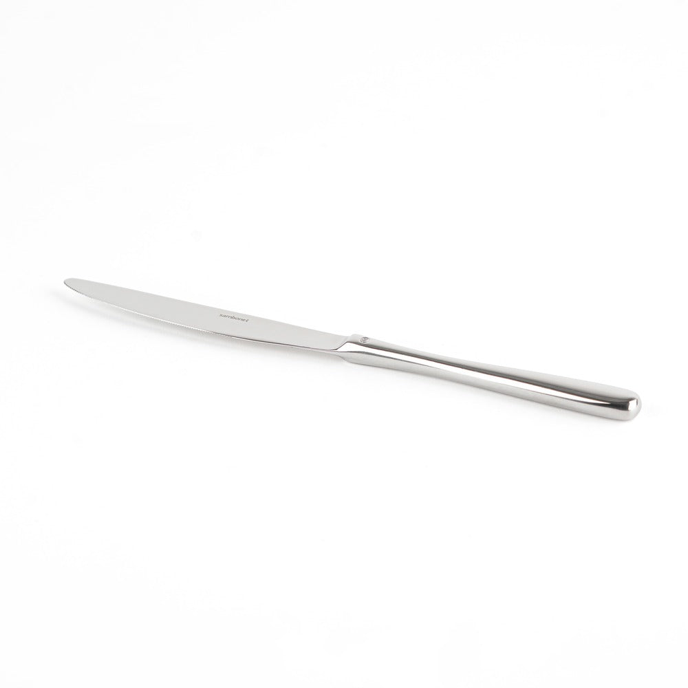 Coltello da cucina con lama affilata e manico ergonomico, in acciaio inox lucido su sfondo bianco.