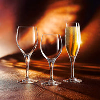 20 Cl Chef And Sommelier Sensation Exalt White Wine Glass in Glass Set of 6 Pieces