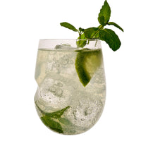 36 Cl Govino Wine Glass in Plastic - Set of 4 Pcs