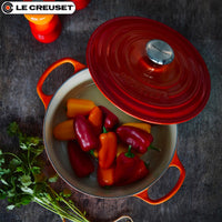 28 Cm Le Creuset Cocotte Evolution Round Dutch Oven in Cast Iron