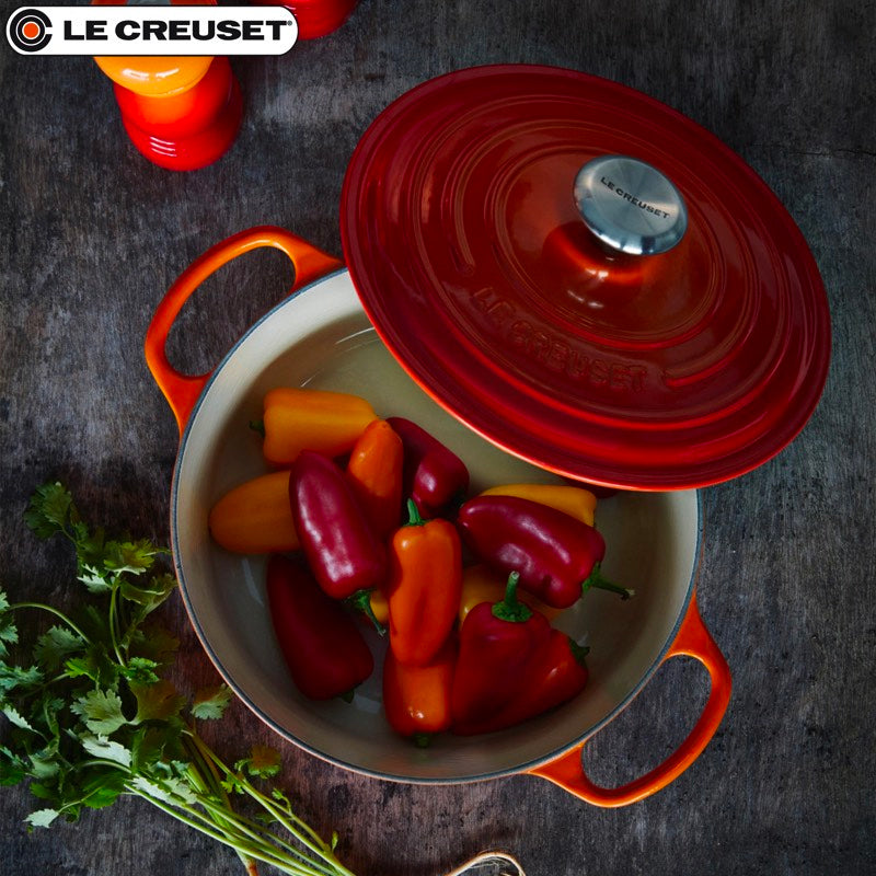 28 Cm Le Creuset Cocotte Evolution Round Dutch Oven in Cast Iron