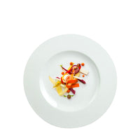 24 Cm Costa Verde Saturno Flat Plate in Porcelain Set of 12 Pcs