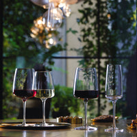 37 8 Cl Bormioli Rocco Nexo Verre à Vin Blanc en Verre - Lot de 6 Pièces