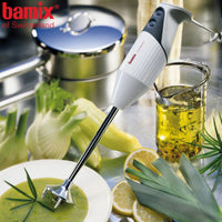 350 Watt Bamix G350 Mixeur Plongeant en Acier Inoxydable