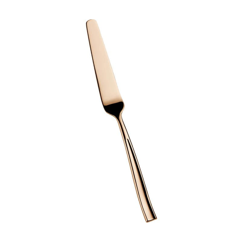 Pintinox Infinito Coltello Pesce In Acciaio Inox Forgiato Set 12 Pz