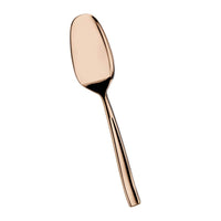 Pintinox Infinito Cuillère gourmet forgée en acier inox Set de 12 pz
