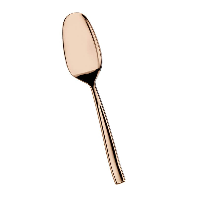 Pintinox Infinito Cuillère gourmet forgée en acier inox Set de 12 pz