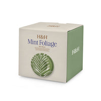 H&H Mint Foliage Vajilla En Porcelana - Set de 18 Pzas