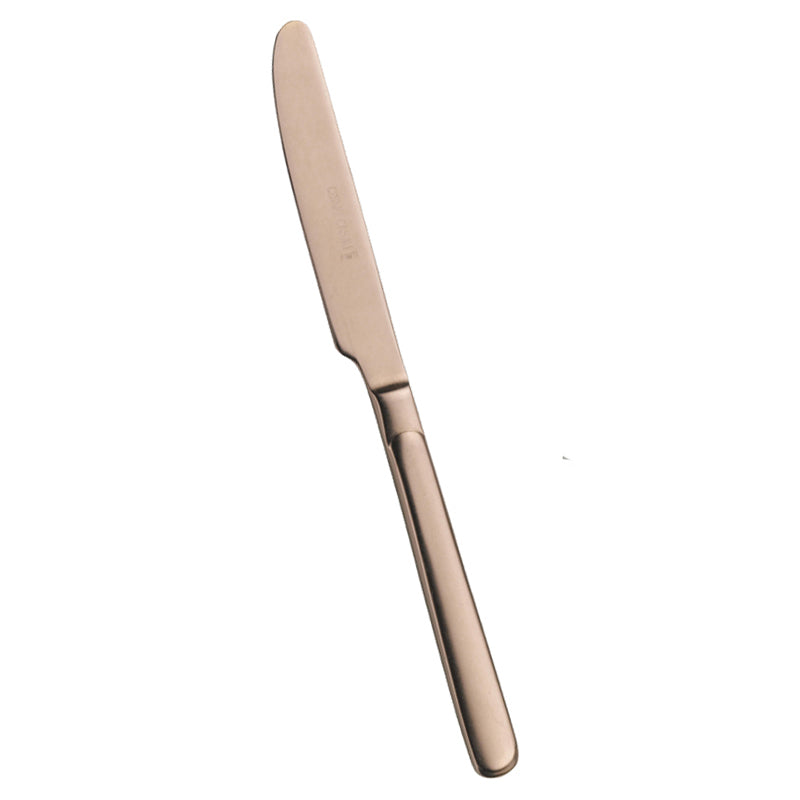 Pintinox Casali Table Knife in Stainless Steel Set of 12 Pcs