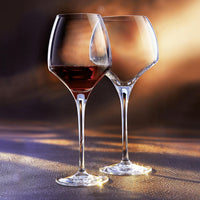 55 Cl Chef And Sommelier Open Up Proefglas van glas Set van 6 stuks