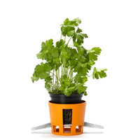Fiskars Herb Ronde kruidencontainer van polystyreen Set van van 2 st