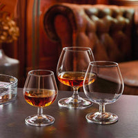 25 Cl Arcoroc Degustation Snifterglas in glas Set 6 st