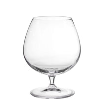 46 5 Cl Bormioli Luigi Vinoteque Verre snifter en verre Set de 6 pièces