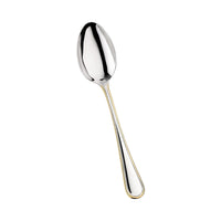 Pintinox Sirio Fruit Spoon In Stainless Steel Set 12 Pcs