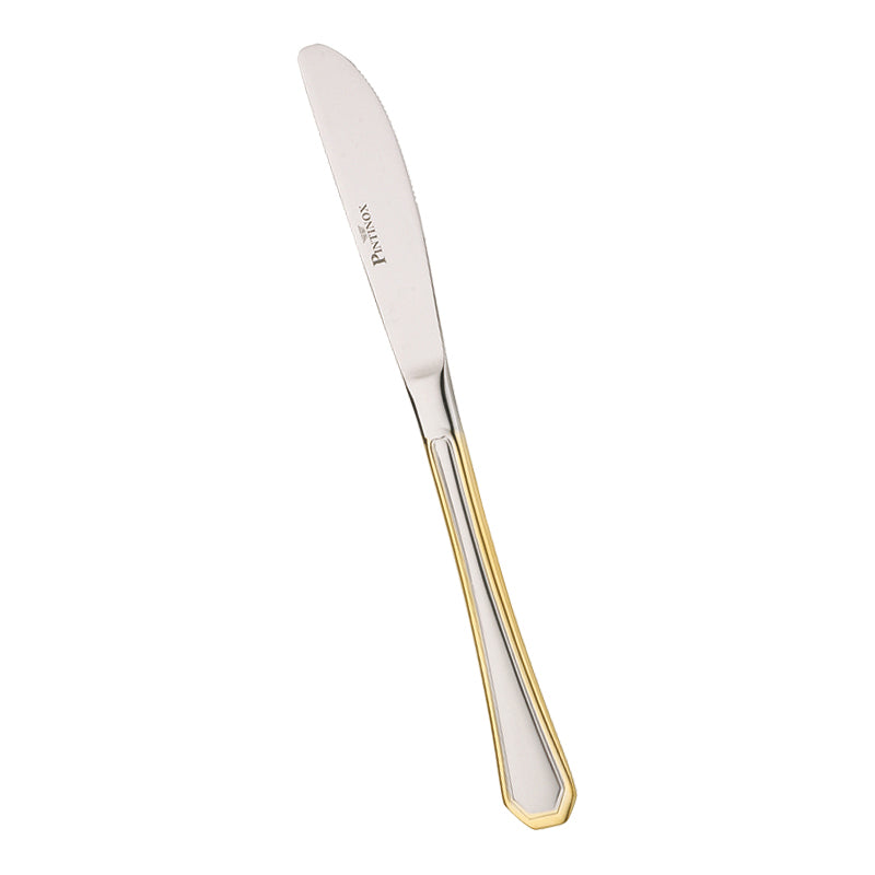 Pintinox America Table Knife In Stainless Steel Set 12 Pcs