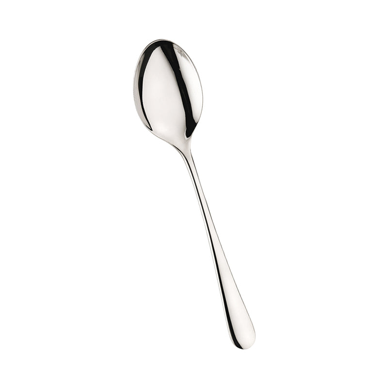 Pintinox Hotel Fruit Spoon In Stainless Steel Set 12 Pcs