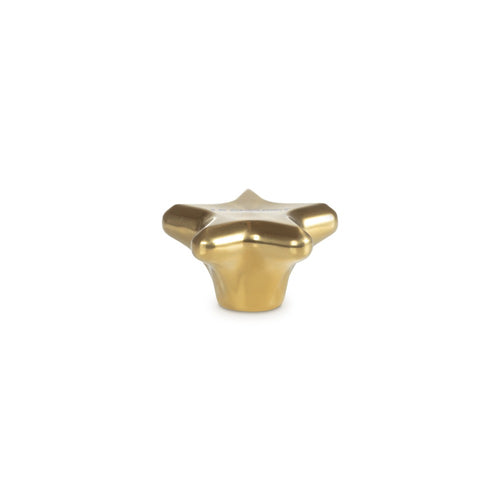 5.7 cm - Le Creuset Evolution Star Knob In Stainless Steel