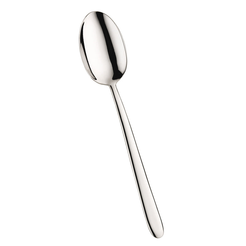 Pintinox Palladium Cucchiaione Servire In Acciaio Inox