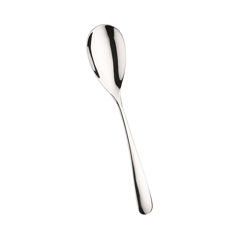 Pintinox SwingFruit Spoon in Stainless Steel Set of 12 Pcs