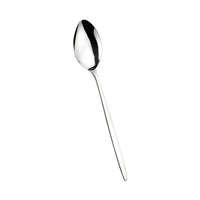 Pintinox Olivia Fruit Spoon in Stainless Steel Set of 12 Pcs