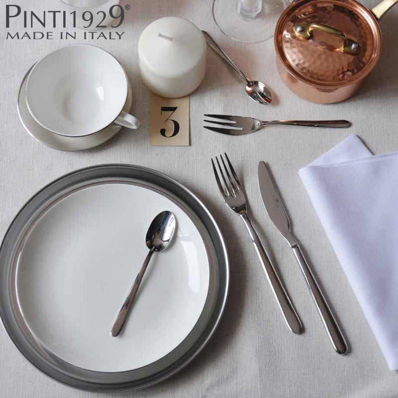 Pintinox Privilege Taartschep In Roestvrij Staal