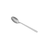 Shiny metal spoon, long and thin, with an oval bowl and a straight handle.