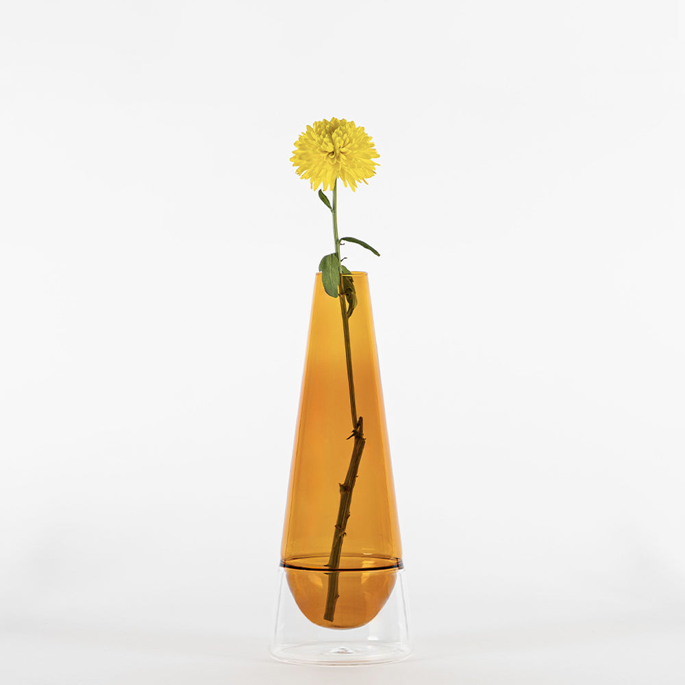 jarrón de vidrio transparente naranja con base transparente con una sola flor amarilla con tallo verde sobre fondo blanco