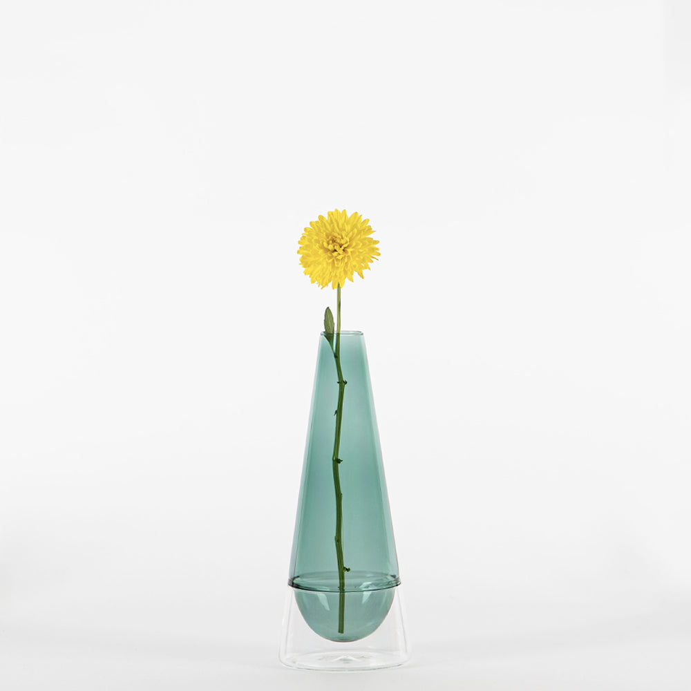 vase conique en verre transparent et bleu clair contenant une fleur jaune isolée avec tige verte sur fond blanc