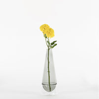 vase conique transparent en verre avec base ronde contenant deux fleurs jaunes à tige verte sur fond blanc