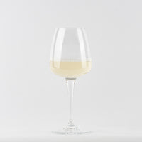 Copa de vino de vidrio transparente con vino blanco espumoso sobre fondo blanco neutro