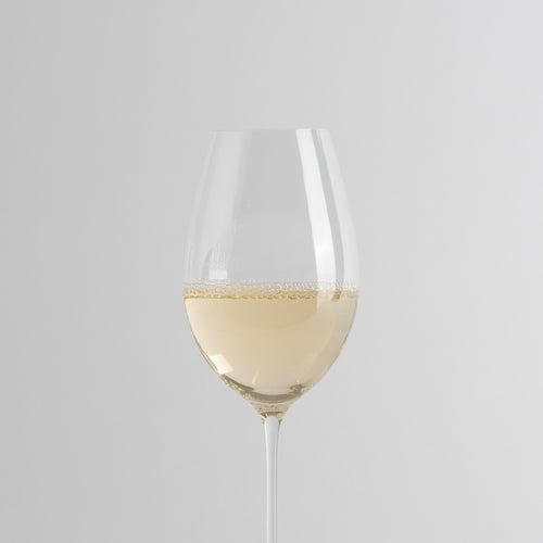 Calice di vetro trasparente con vino bianco chiaro e superficie leggermente frizzante su sfondo grigio chiaro.