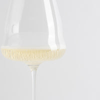 Verre à vin en verre transparent avec vin blanc légèrement pétillant sur fond clair uniforme.
