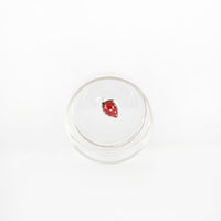 bicchiere di vetro trasparente con coccinella rossa decorativa in vetro al centro, sfondo bianco uniforme