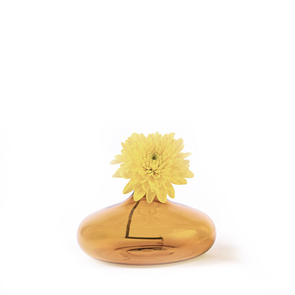 transparent amber-colored glass vase with a yellow flower placed inside on white background