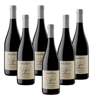 six bouteilles de vin rouge avec étiquette claire avec dessin d'arbre et inscription Fabioperrone Barbera d'Asti Superiore sur fond blanc