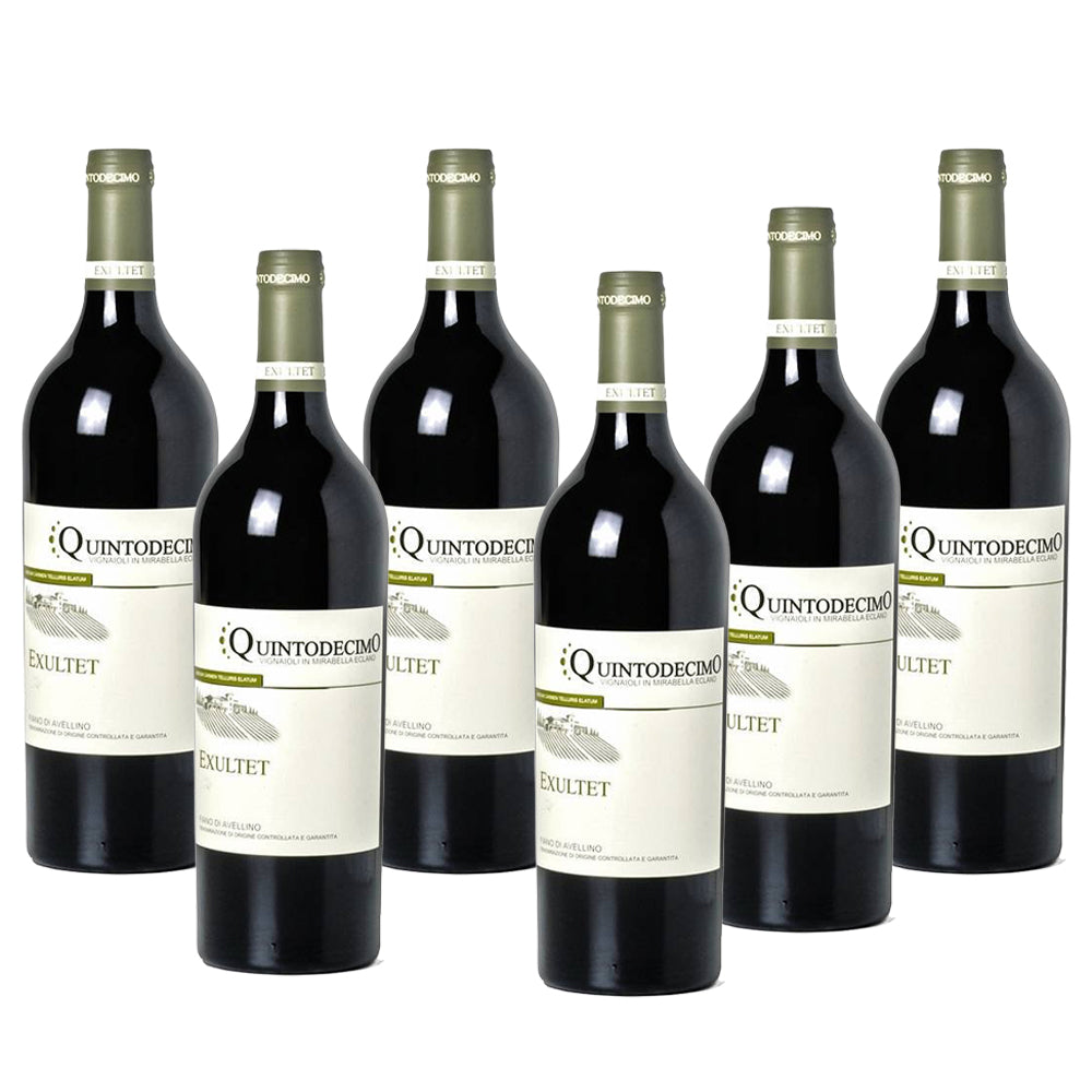 Sei bottiglie di vino rosso con etichetta bianca, marchio "Quintodecimo" e sullo sfondo una lieve riflessione.