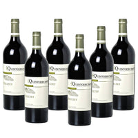Sei bottiglie di vino rosso con etichetta bianca, marchio "Quintodecimo" e sullo sfondo una lieve riflessione.